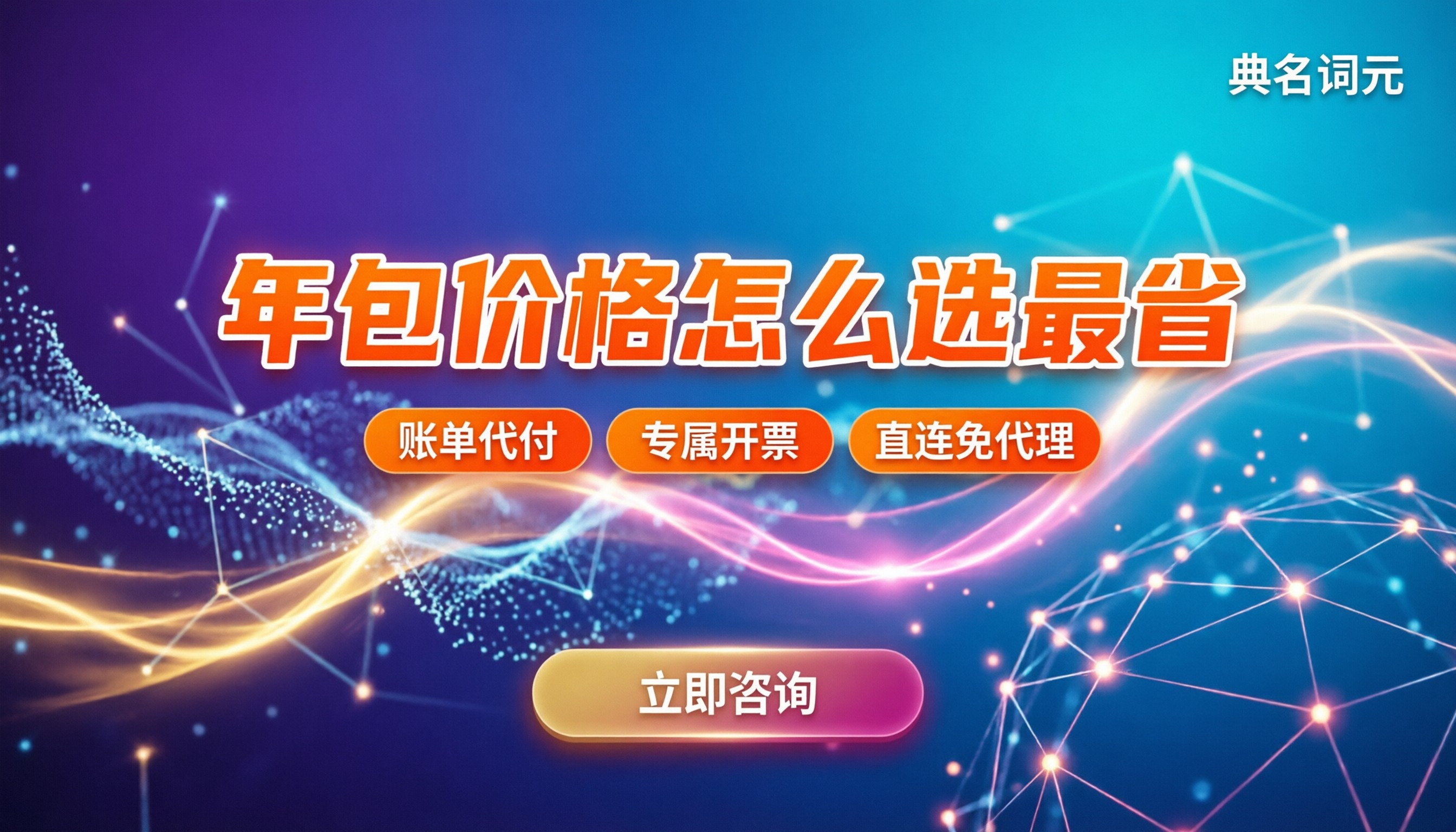 Seedance2.5一年价格：怎么选最省？服务商对比